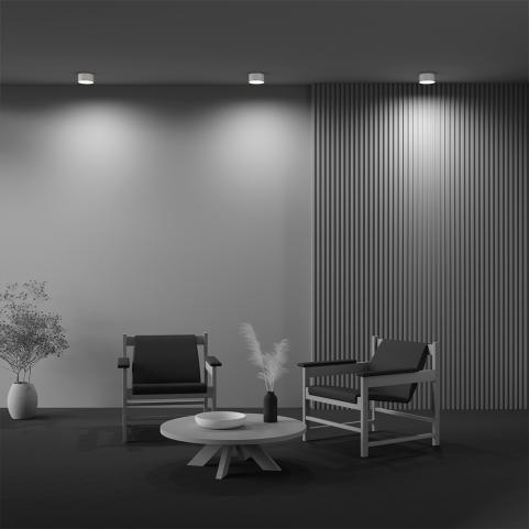 Потолочный светильник Maytoni Technical Ceiling 4000K Zon C032CL-12W4K-RD-W