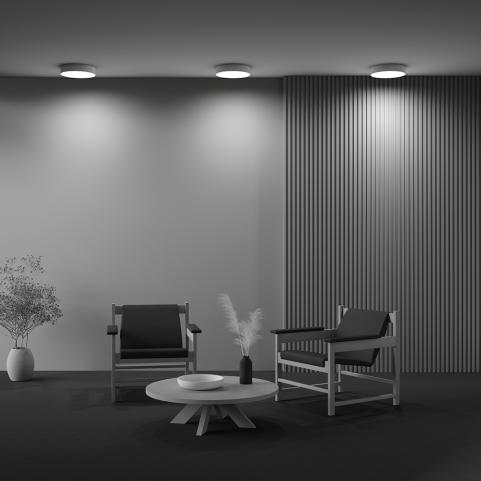 Потолочный светильник Maytoni Technical Ceiling 4000K Zon C032CL-36W4K-RD-W