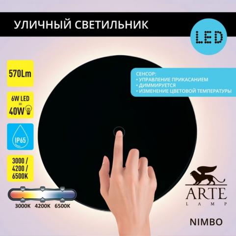 Настенный уличный светильник Arte Lamp Nimbo  A4506AL-1BK