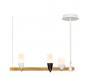 Подвесной светильник Loft IT Whisper 1028-3WH